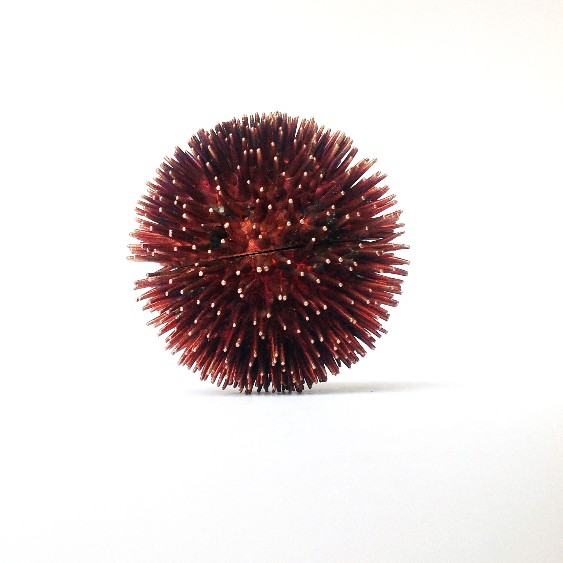 Sea Urchins 